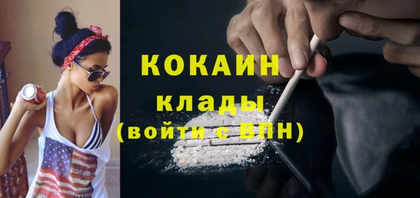 гидра Бородино