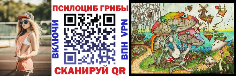 Галлюциногенные грибы мицелий  наркошоп  Острогожск 